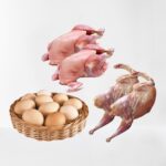 Combo for Chicken 01