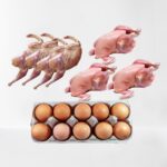 Combo for Chicken 02