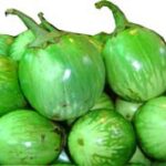 Brinjal(Green)