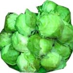 Cabbage