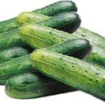 Cucumber