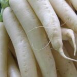 Radish
