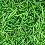 Green Chilli