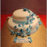 Two Tiered Butterfly Cake