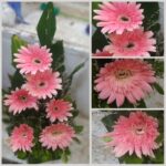 Pink Gerbera Flower Bouquet