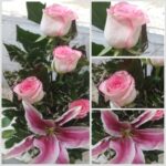 Pink Rose and Lily Flower Bouquet