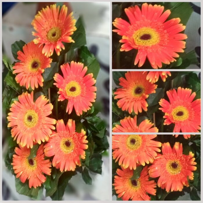 Orange Gerbera Flower Bouquet - Image 1