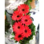 Gerbera Flower Bouquet