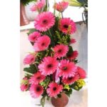 Pink Gerbera Bouquet