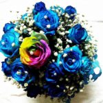 Blue and Rainbow Roses