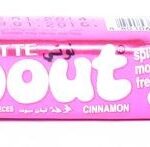 LOTTE SPOUT GUM CINNAMON 23.80GM 2 PACKETS