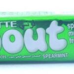 LOTTE SPOUT GUM SPEARMINT 23.80GM 2 PACKETS