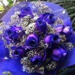 Purple Roses
