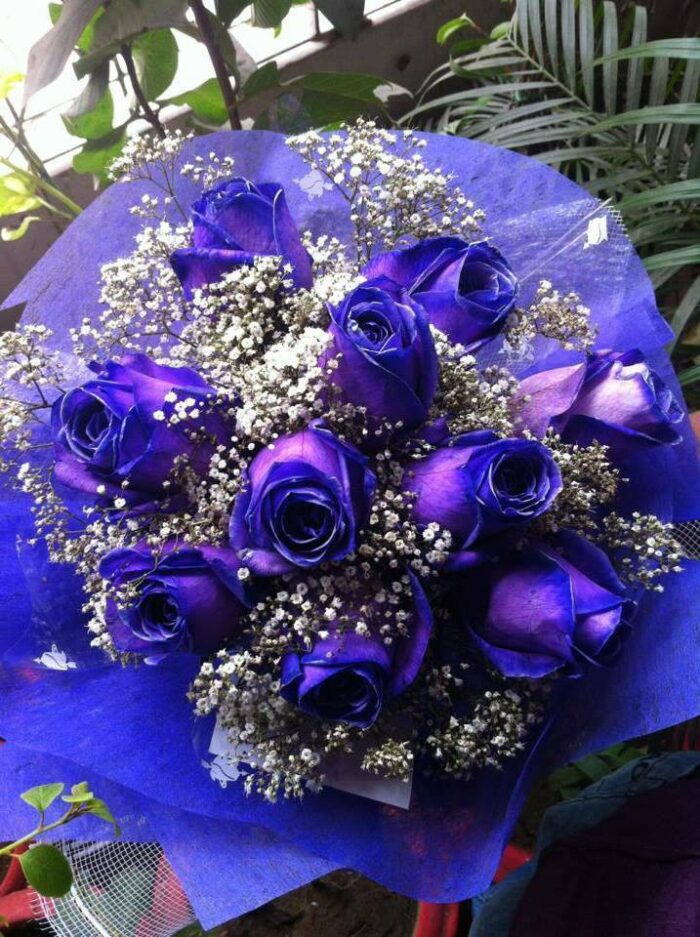 Purple Roses - Image 1