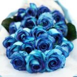 Luxury Blue Roses
