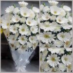 White Gerbera Flower Bouquet