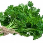 Coriandrum Sativum (Dhonne pata)