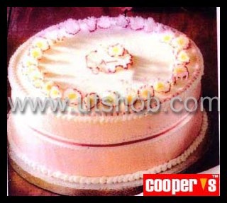 Square Shape 0003
