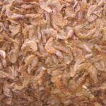 Shrimp (Shutki)