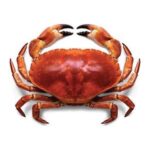 Crabe (Sea) 1 Kg