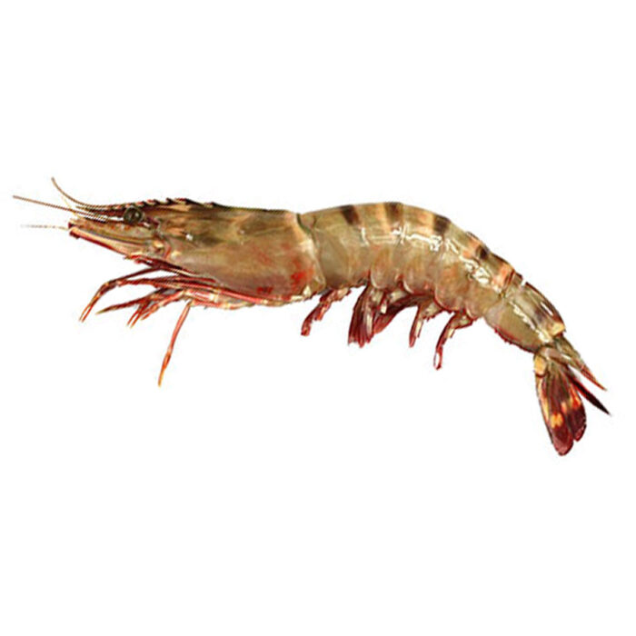 Prawn Taige Big (Sea) 1 Kg - Image 1