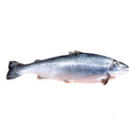 Salmon Fish 1 Kg