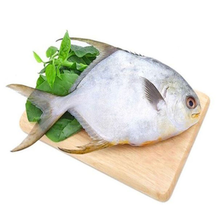Pomfret (Rupchada) - Image 1