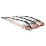 Pabda Fish